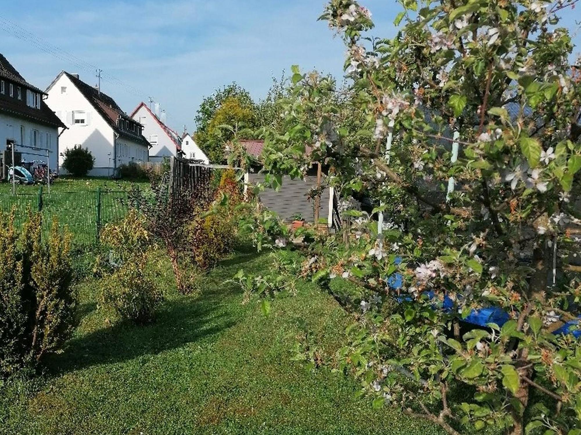 Ferienwohnung Kirsch-Kern Mössingen Exterior foto