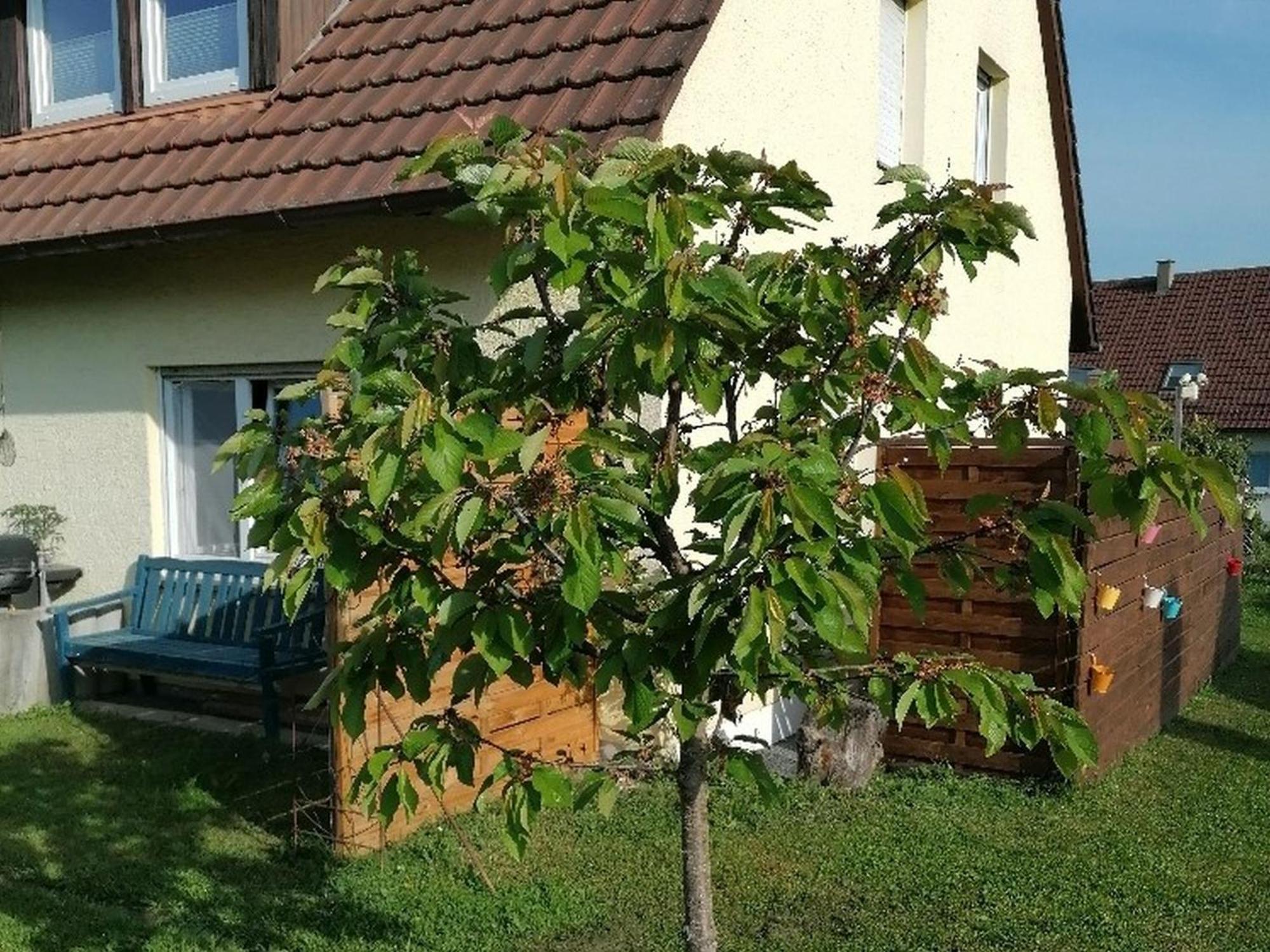Ferienwohnung Kirsch-Kern Mössingen Exterior foto